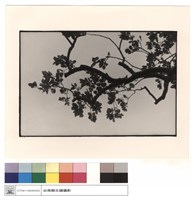 仰視藏品圖，第1張