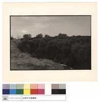 遺跡處之水筆仔藏品圖，第1張