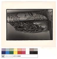 雀提(魚)右藏品圖，第1張