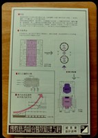 紀念堂設計說明(照片)28藏品圖，第1張