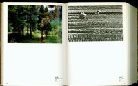 (P588-589)藏品圖，第1張