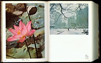 (P604-605)藏品圖，第1張