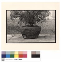 石盆藏品圖，第1張