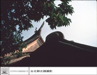馬背燕尾藏品圖，第1張
