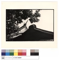 馬背及燕尾藏品圖，第1張