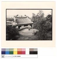 正背觀藏品圖，第1張
