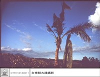 全景藏品圖，第1張