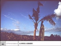 全景藏品圖，第1張