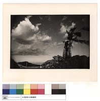 全景藏品圖，第1張