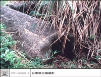 巨石棺材特寫藏品圖，第1張