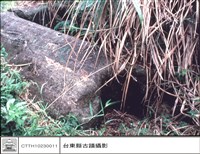 巨石棺材特寫藏品圖，第1張
