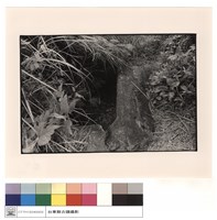 石棺藏品圖，第1張