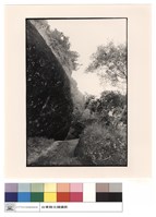 海雷洞藏品圖，第1張