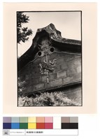 馬背(左肩)藏品圖，第1張