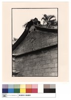 馬背(右肩)藏品圖，第1張