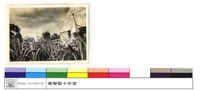 N/A藏品圖，第1張