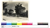 N/A藏品圖，第1張