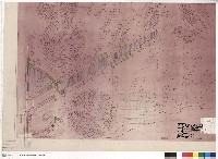北入口步道撤去平面圖藏品圖，第1張