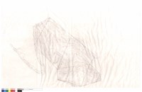 N/A藏品圖，第1張
