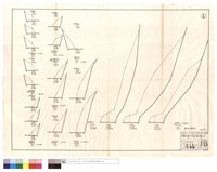 僱工清除部份藏品圖，第1張