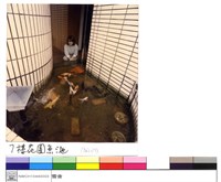 七樓花園魚池藏品圖，第1張