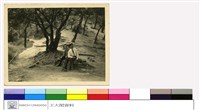 (無圖名)藏品圖，第1張