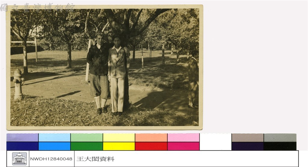 大圖瀏覽