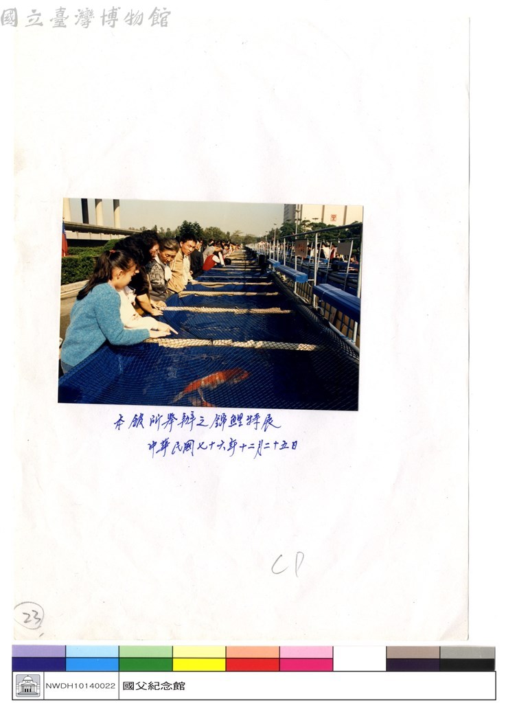 大圖瀏覽