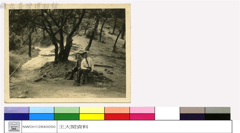 大圖瀏覽
