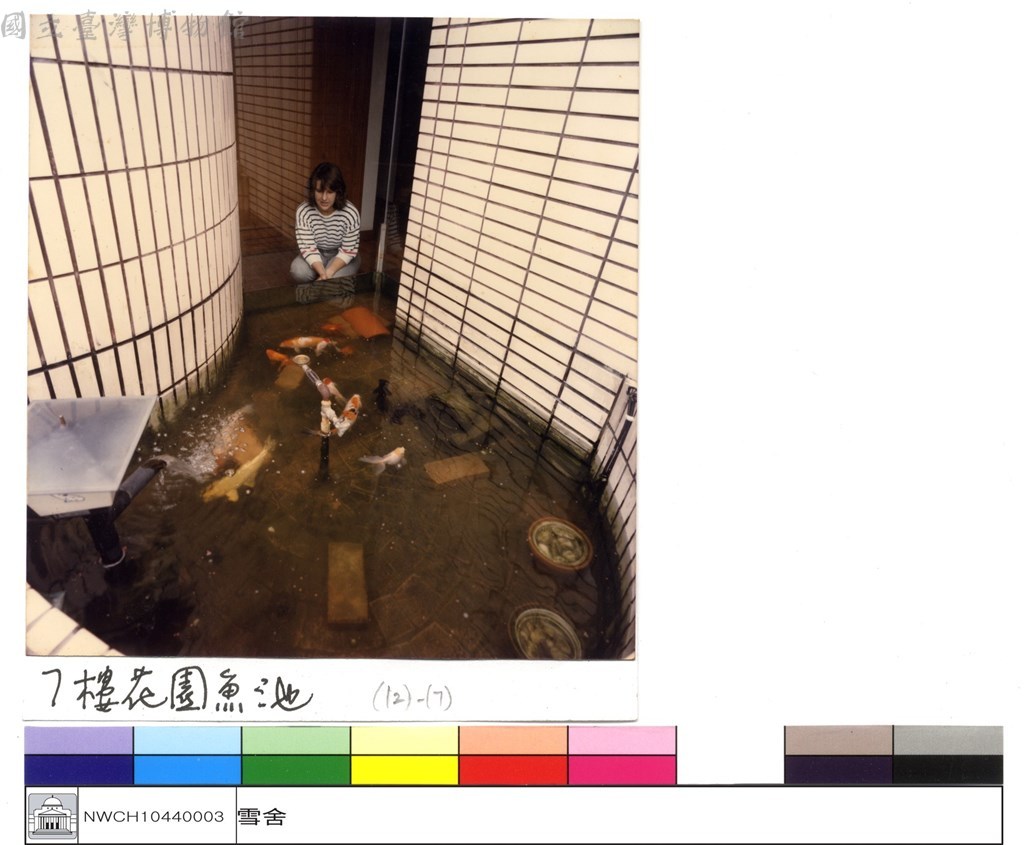 大圖瀏覽