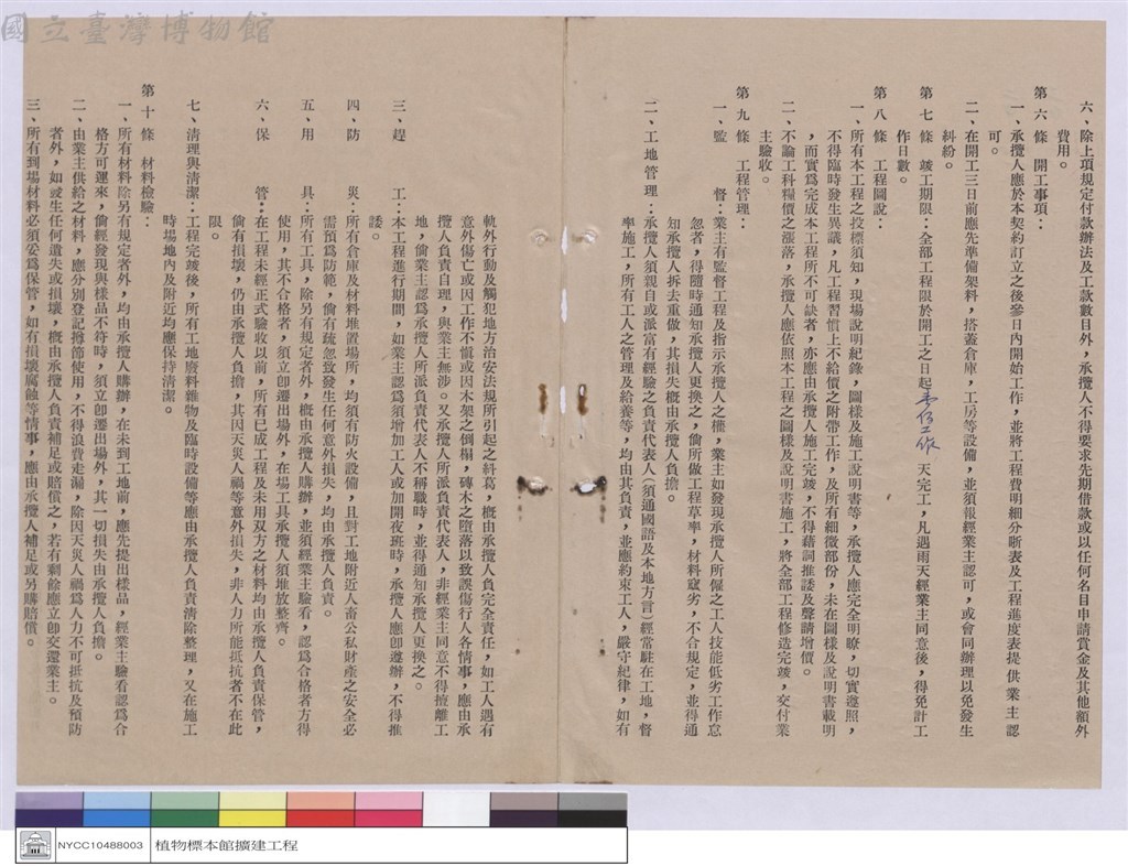大圖瀏覽