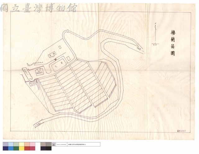 棲蘭苗圃藏品圖，第1張