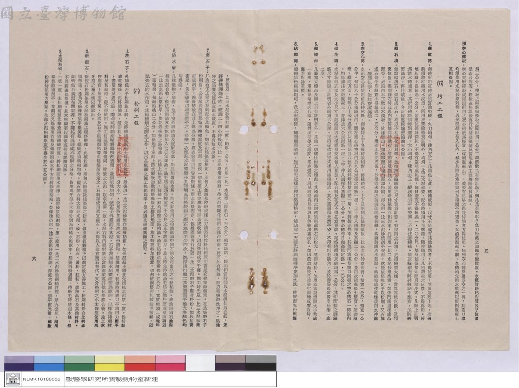 大圖瀏覽