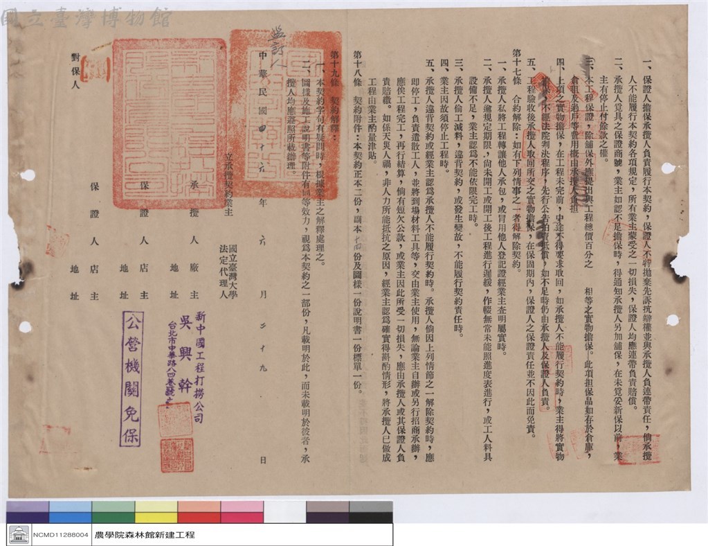 大圖瀏覽