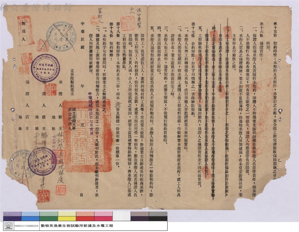 大圖瀏覽