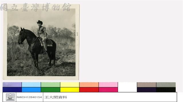 (無圖名)藏品圖，第1張
