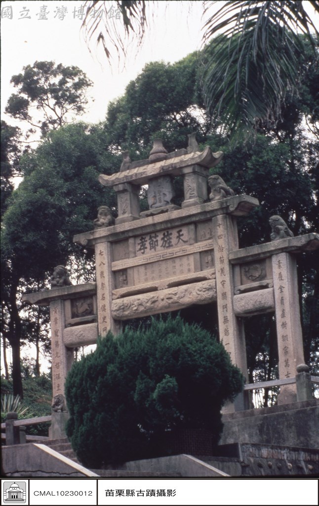 大圖瀏覽