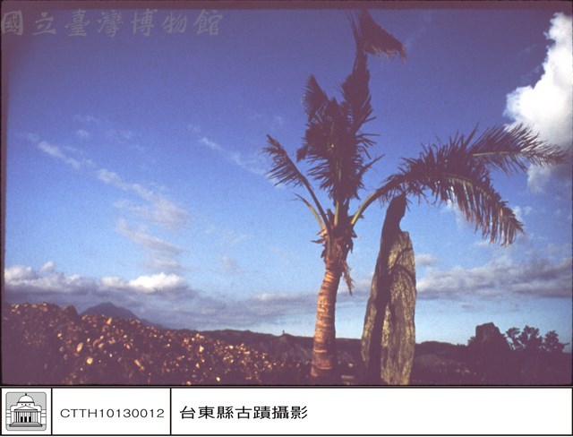 全景藏品圖，第1張