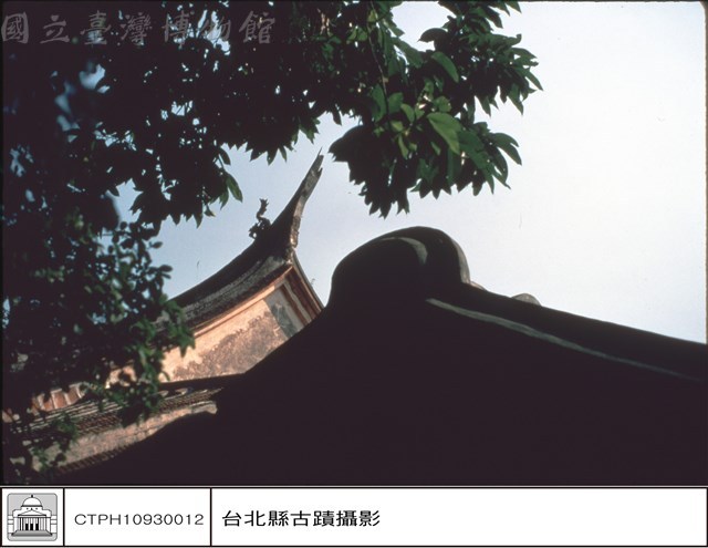 馬背燕尾藏品圖，第1張