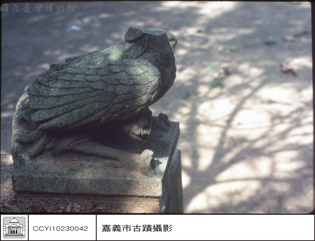 大圖瀏覽