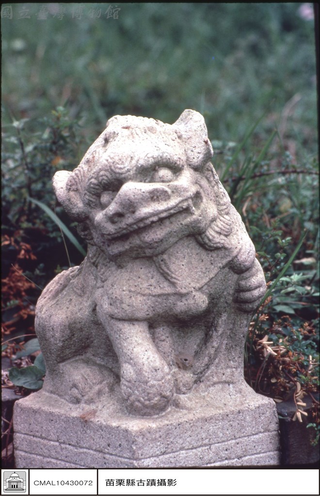 大圖瀏覽