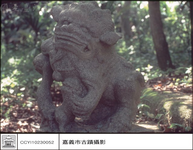 獅子藏品圖，第1張