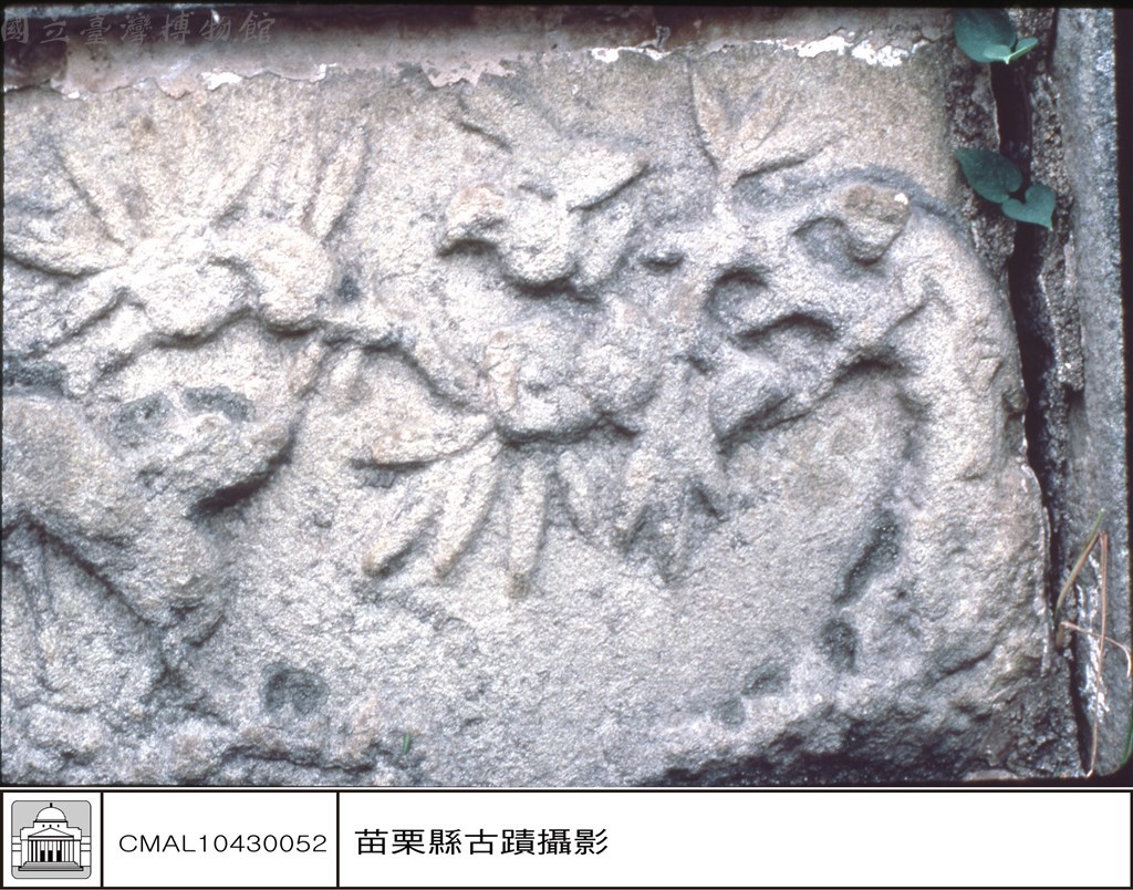 大圖瀏覽