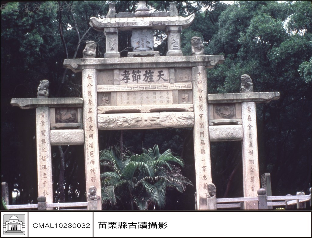 大圖瀏覽