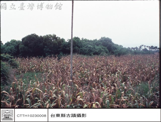 全景藏品圖，第1張