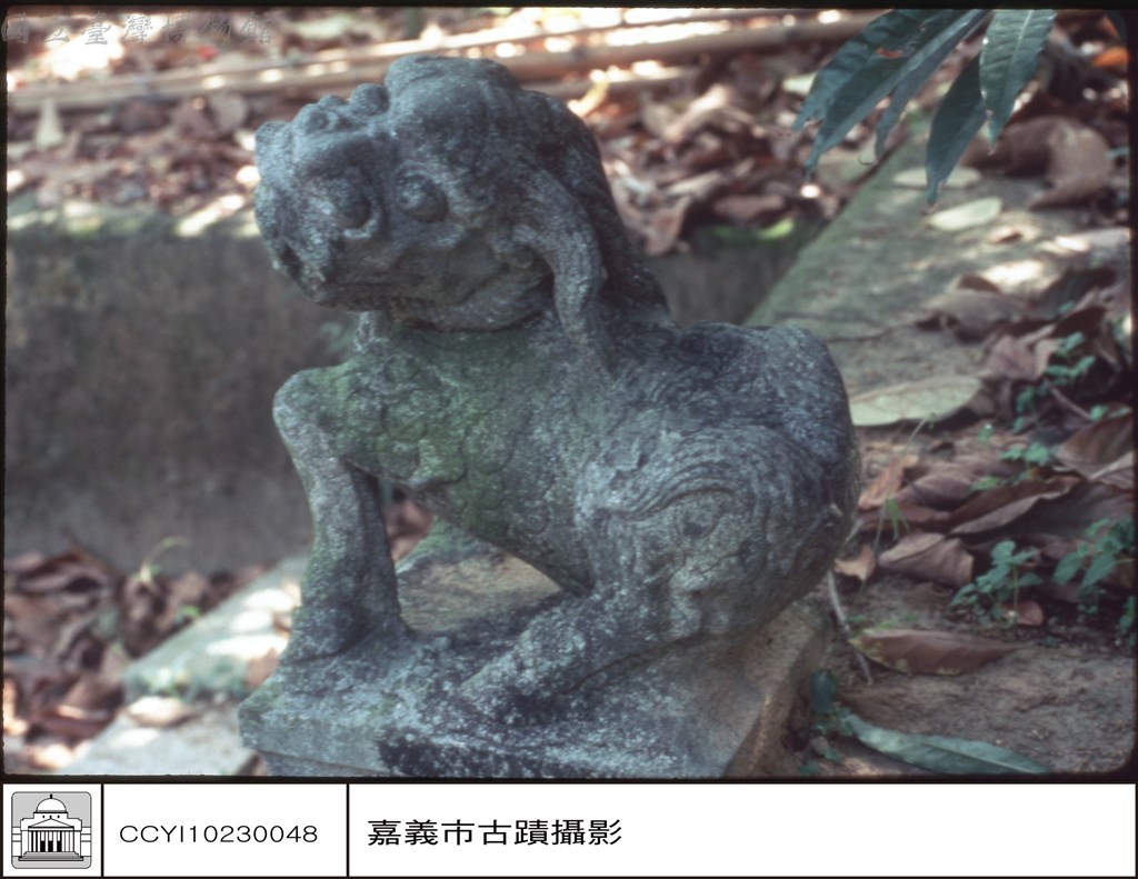 大圖瀏覽