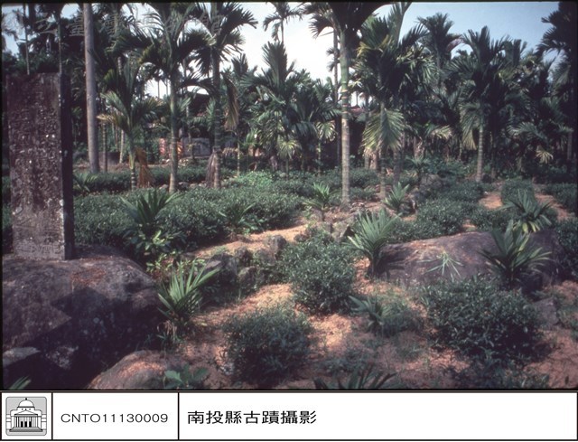 全景藏品圖，第1張