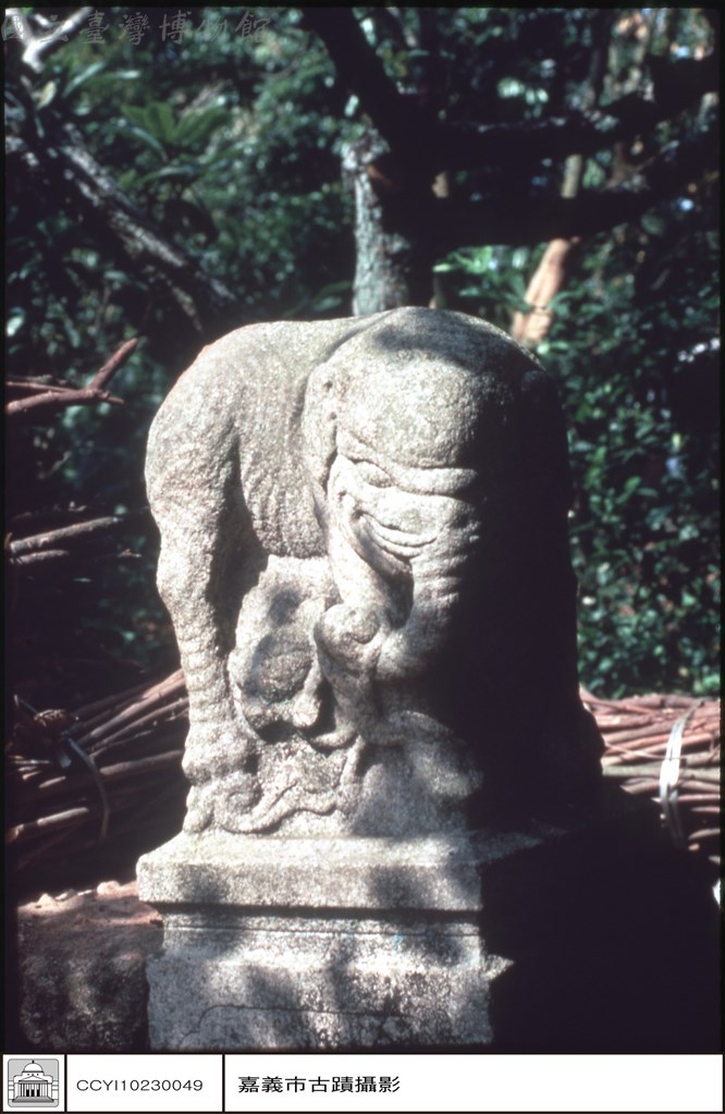 大圖瀏覽