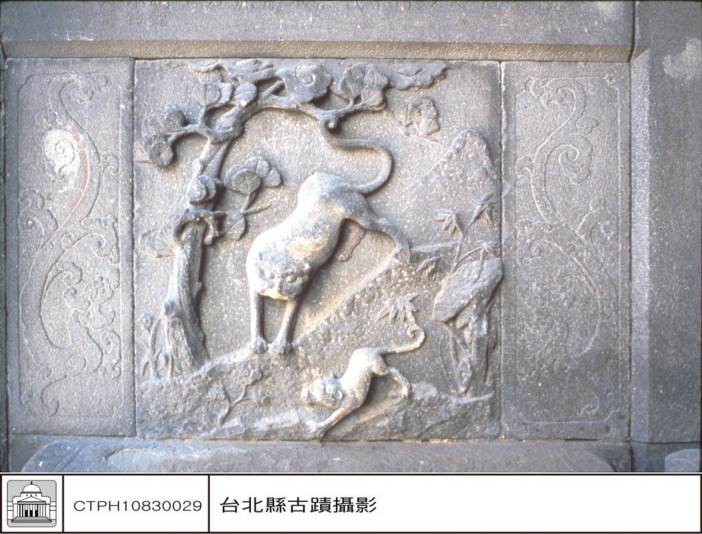大圖瀏覽