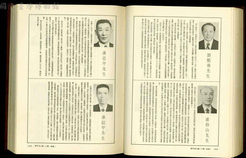 大圖瀏覽
